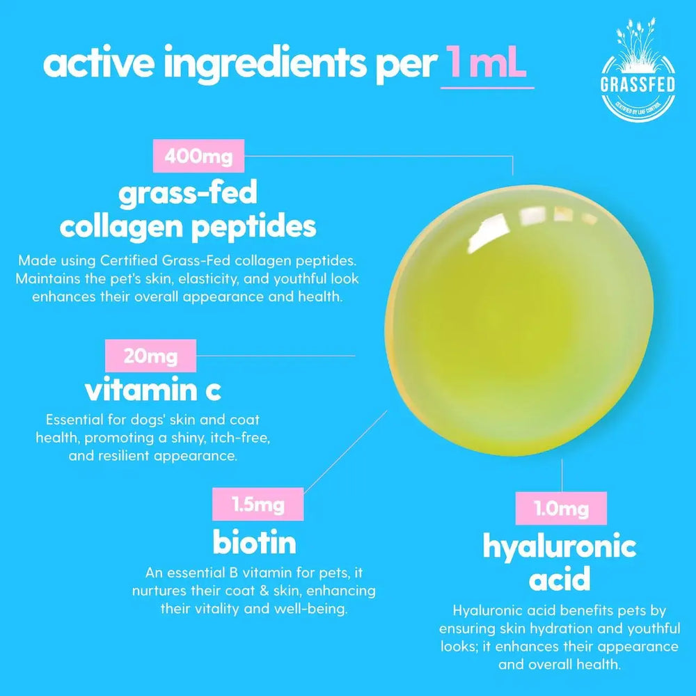 TAILY - Taily Premium Grass-fed Collagen for Dogs Skin and Coat Supplement 4 Fl.Oz. - The Red Vitamin MX - Remedios Para La Picazón De Perros - {{ shop.shopifyCountryName }}