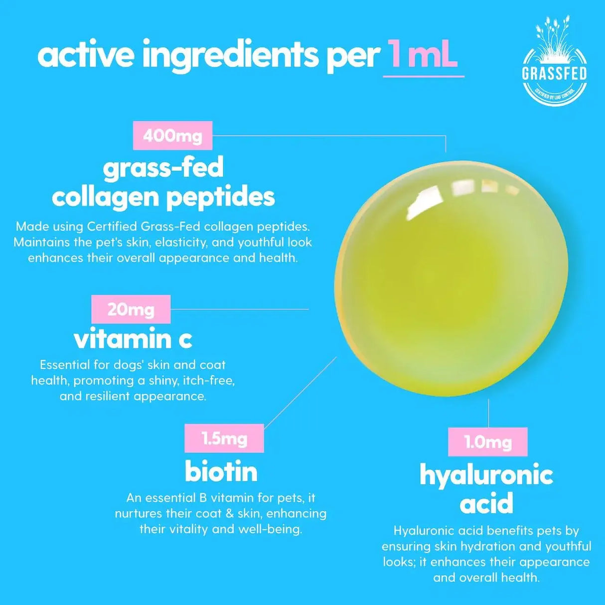 TAILY - Taily Premium Grass-fed Collagen for Dogs Skin and Coat Supplement 4 Fl.Oz. - The Red Vitamin MX - Remedios Para La Picazón De Perros - {{ shop.shopifyCountryName }}