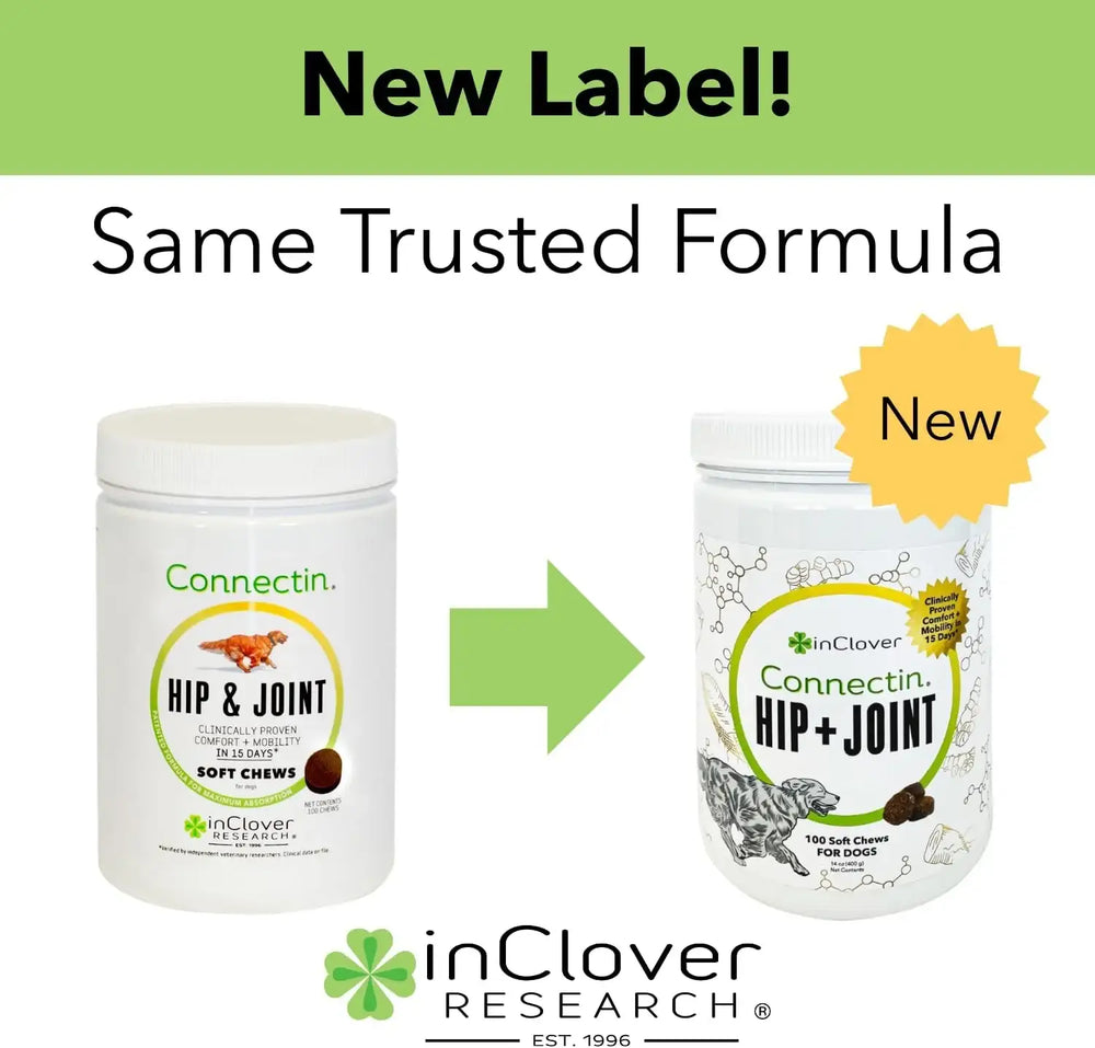 IN CLOVER - In Clover Hip and Joint Supplement for Large Dogs 70 Pounds and Up 80 Masticables - The Red Vitamin MX - Cuidado De Cadera Y Articulaciones Para Perros - {{ shop.shopifyCountryName }}