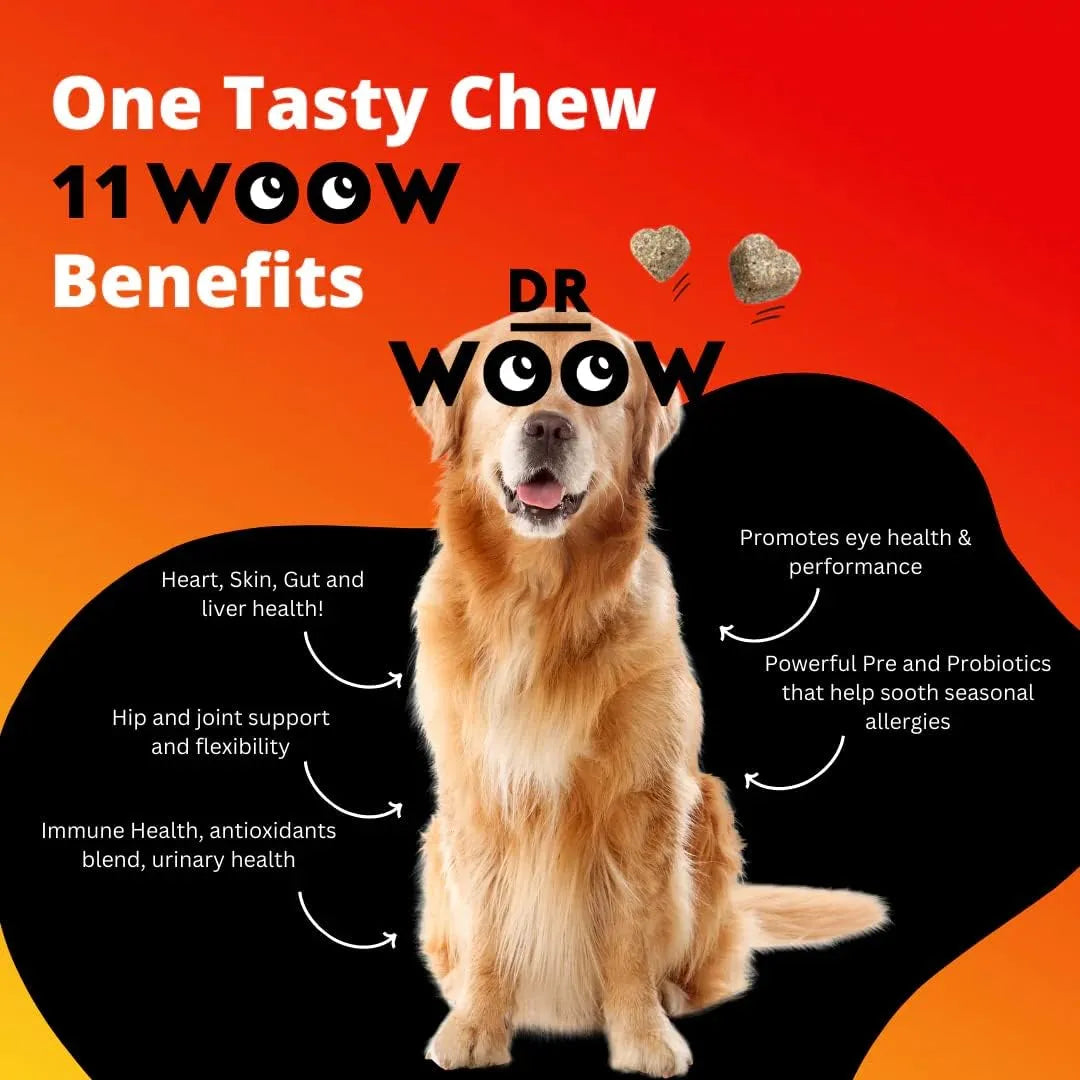 DR WOOW - DR WOOW Multivitamins for Dogs 90 Masticables - The Red Vitamin MX - Multivitamínicos Para Perros - {{ shop.shopifyCountryName }}