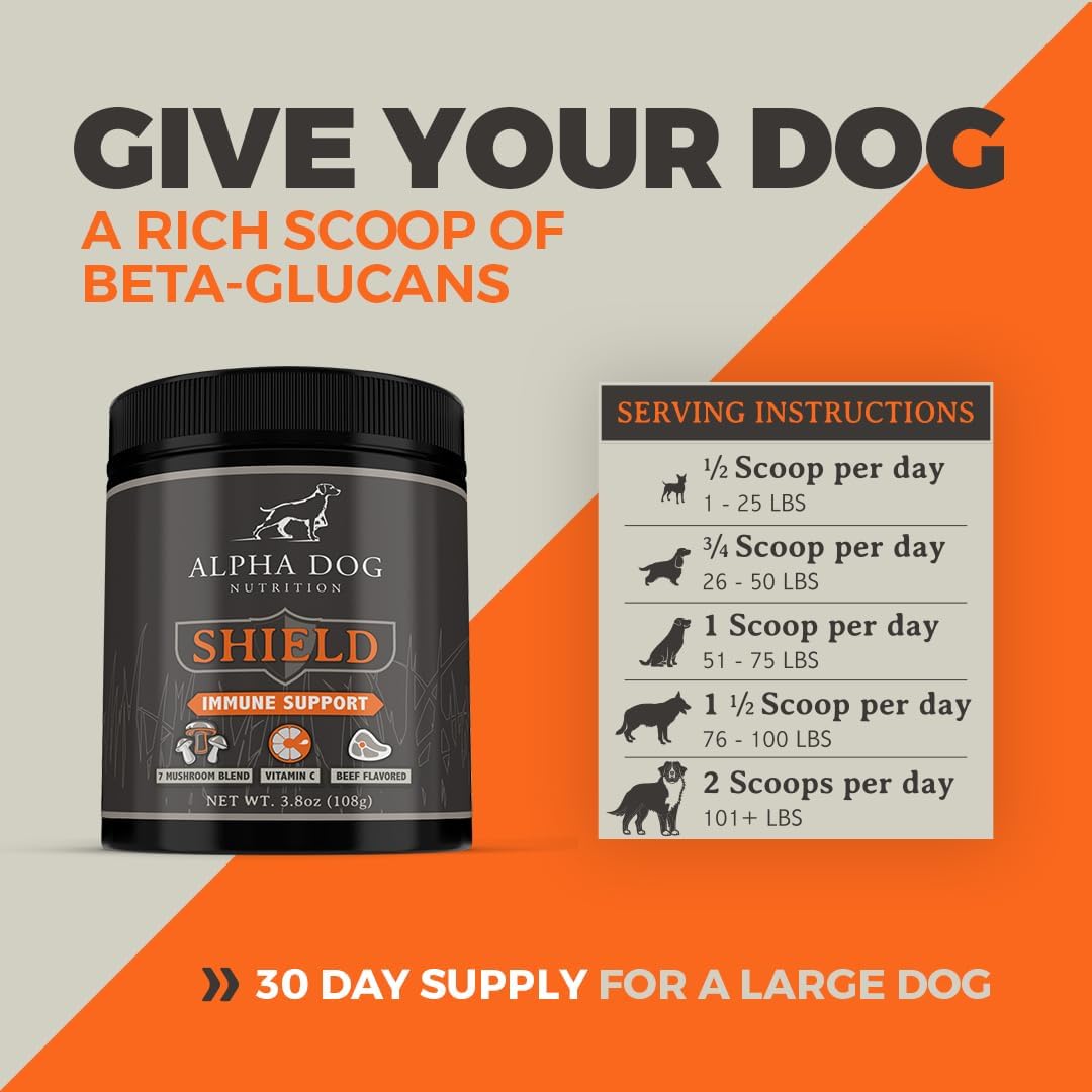ALPHA DOG NUTRITION - Alpha Dog Nutrition Shield Allergy Immune Support 7 Nutritional Mushroom Powder Complex + Vitamin C 54Gr. - The Red Vitamin MX - Suplementos Herbales Para Perros - {{ shop.shopifyCountryName }}