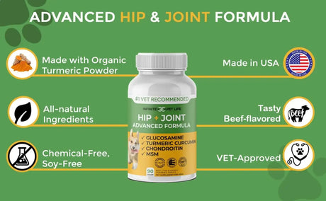 INFINITE PET - Infinite Pet Advanced Hip and Joint Supplement for Dogs 90 Tabletas Masticables - The Red Vitamin MX - Cuidado De Cadera Y Articulaciones Para Perros - {{ shop.shopifyCountryName }}