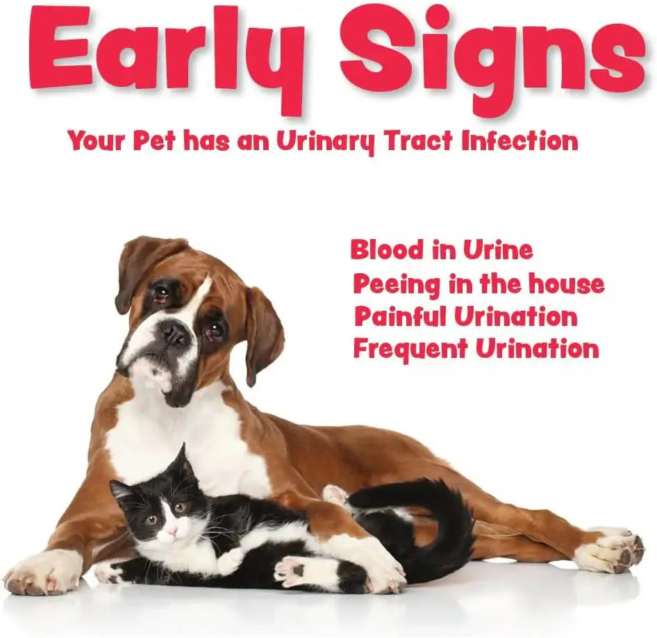 DENESTRA - Denestra Cranberry D Mannose MAX- Dog Urinary Tract 90 Servicios - The Red Vitamin MX - Salud De Tracto Urinario Para Perros - {{ shop.shopifyCountryName }}