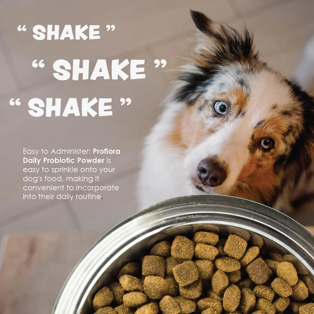 PROFLORA - Proflora Probiotics for Dogs 30 Paquetes - The Red Vitamin MX - Probióticos Para Perros - {{ shop.shopifyCountryName }}