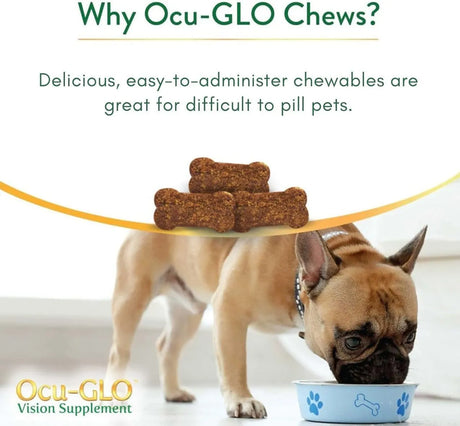 OCU-GLO - Ocu-GLO Cat & Dog Senior Supplement for Eye Support 60 Masticables - The Red Vitamin MX - Cuidado De Los Ojos De Los Perros - {{ shop.shopifyCountryName }}