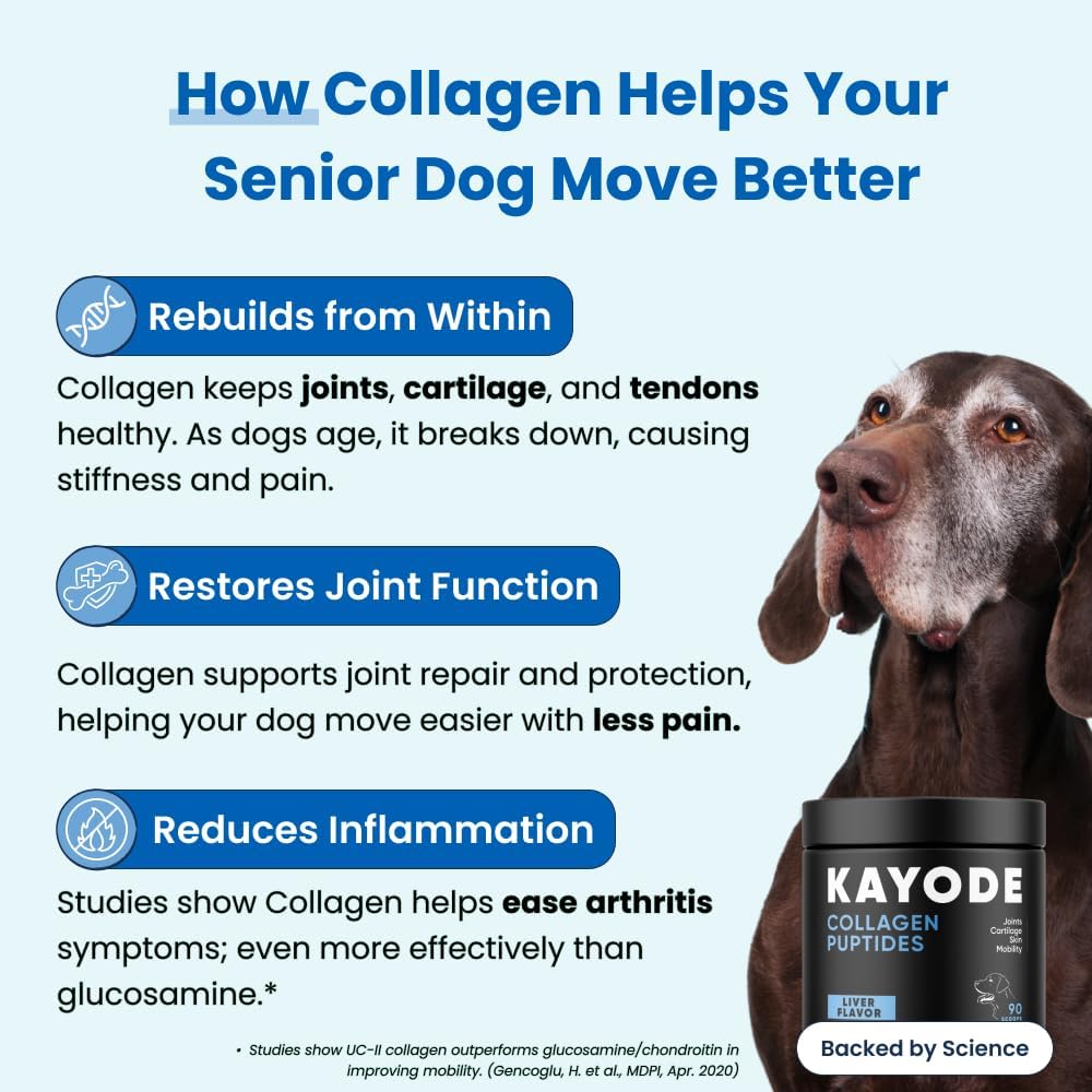 Kayode Collagen Puptides Dog Joint Supplement 90 Masticables