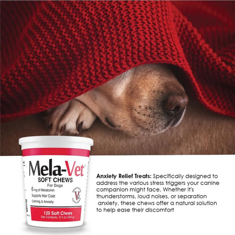 META VET - Mela-Vet Melatonin Calming Soft Chews for Dogs 120 Masticables - The Red Vitamin MX - Relajantes Para Perros - {{ shop.shopifyCountryName }}