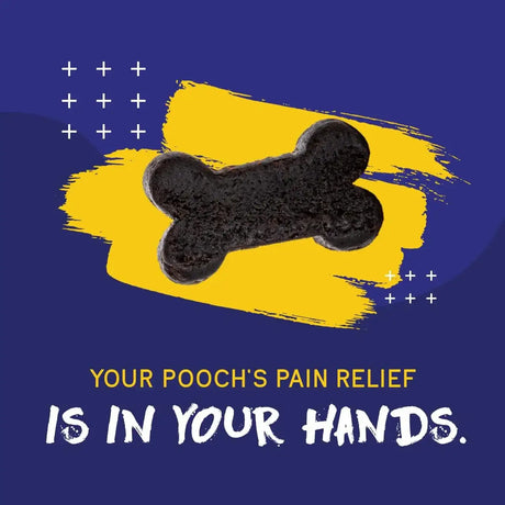 PUPGRADE - PupGrade Joint Support Supplement for Dogs 60 Masticables - The Red Vitamin MX - Cuidado De Cadera Y Articulaciones Para Perros - {{ shop.shopifyCountryName }}