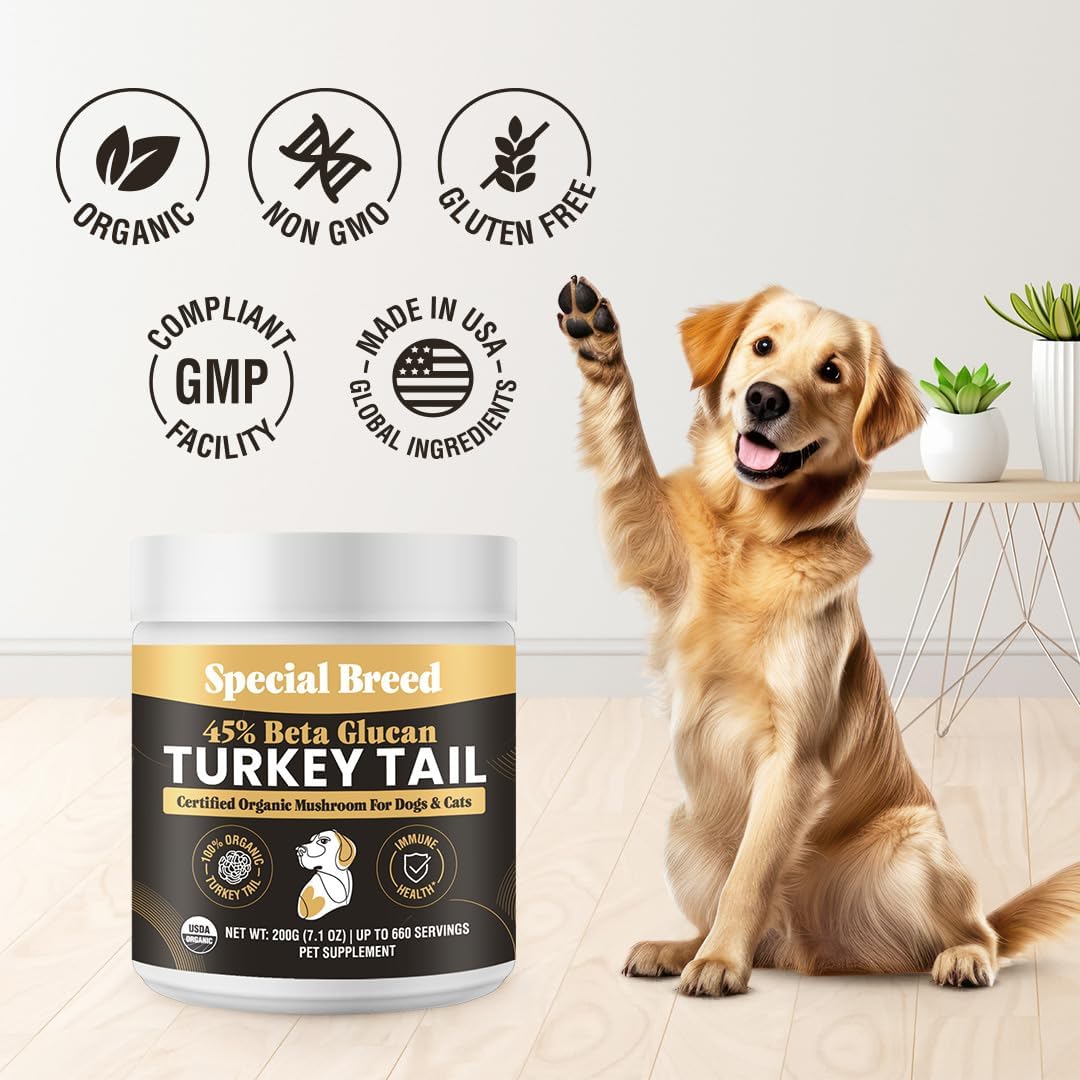 SPECIAL BREED - Special Breed Organic Turkey Tail Mushroom for Dogs 200Gr. - The Red Vitamin MX - Suplementos Herbales Para Perros - {{ shop.shopifyCountryName }}