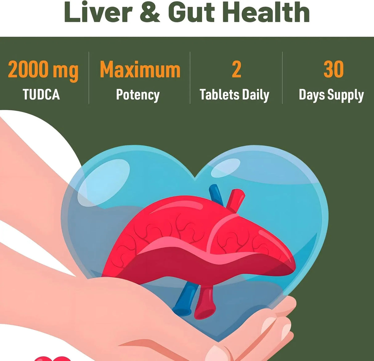 CANARATA - Canarata TUDCA Liver Support 2000Mg. 60 Capsulas 2 Pack - The Red Vitamin MX - Suplementos Alimenticios - {{ shop.shopifyCountryName }}