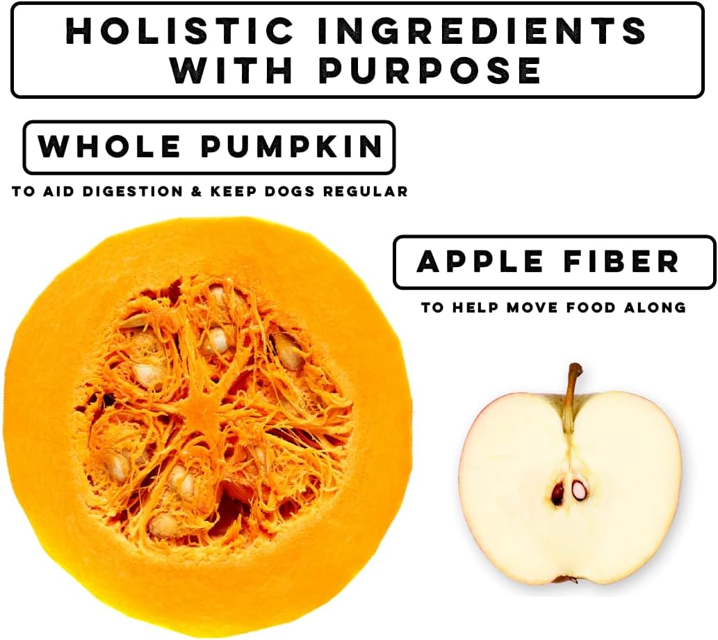 Nature's Diet Pet Dried Pumpkin Powder Digestive Support 53 Servicios 453Gr.