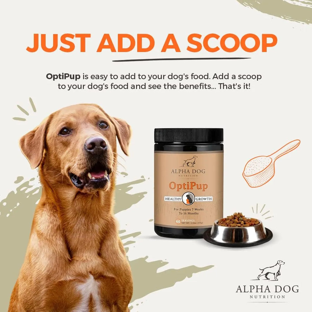 ALPHA DOG NUTRITION - Alpha Dog Nutrition OptiPup All-in-1 Puppy Multivitamin 60 Servicios 304Gr. - The Red Vitamin MX - Multivitamínicos Para Perros - {{ shop.shopifyCountryName }}
