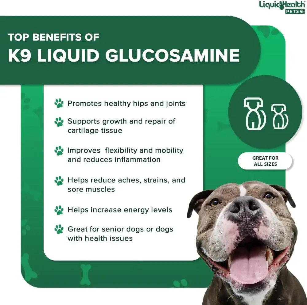 LIQUIDHEALTH - LIQUIDHEALTH Pets K9 Liquid Glucosamine for Dogs 32 Fl.Oz. - The Red Vitamin MX - Cuidado De Cadera Y Articulaciones Para Perros - {{ shop.shopifyCountryName }}