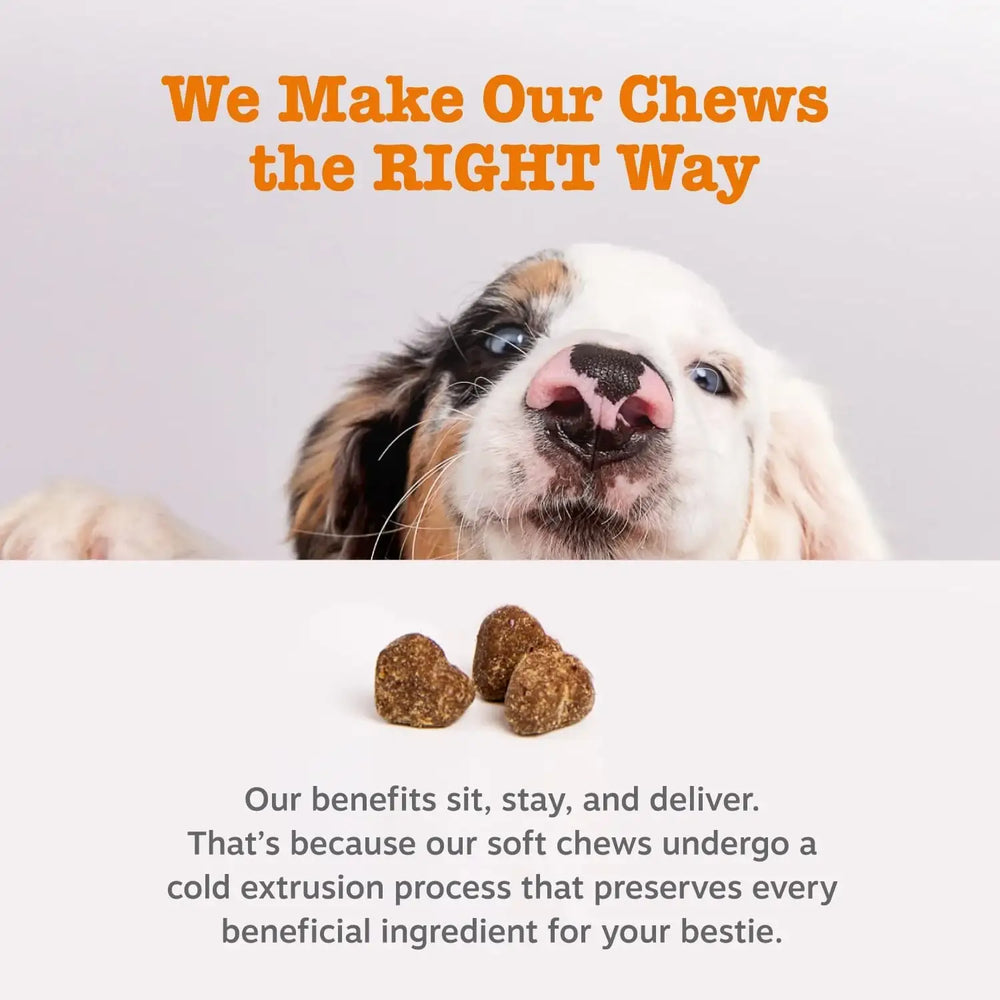 ZESTY PAWS - Zesty Paws Stay Green Bites for Dogs CHICKEN 90 Masticables - The Red Vitamin MX - Salud De Tracto Urinario Para Perros - {{ shop.shopifyCountryName }}