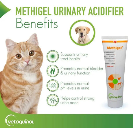 VETOQUINOL - Vetoquinol Methigel Urinary Acidifier to Promote Urinary and Bladder Health for Dogs 120Gr. - The Red Vitamin MX - Salud De Tracto Urinario Para Perros - {{ shop.shopifyCountryName }}