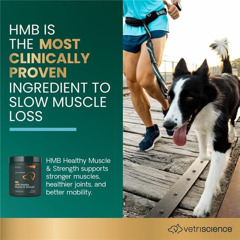 VetriScience HMB Healthy Muscle & Strength Supplement for Dogs Powder 60 Servicios