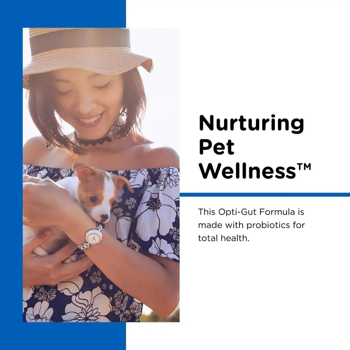 NUTRI-VET - Nutri-Vet Milk Replacer For Puppies 340Gr. - The Red Vitamin MX - Sustitutos De Leche Para Perros - {{ shop.shopifyCountryName }}