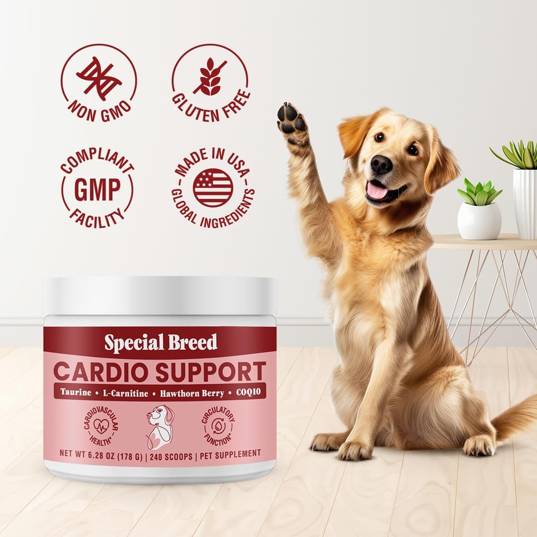Special Breed Cardio Support for Dogs 240 Servicios 178Gr.