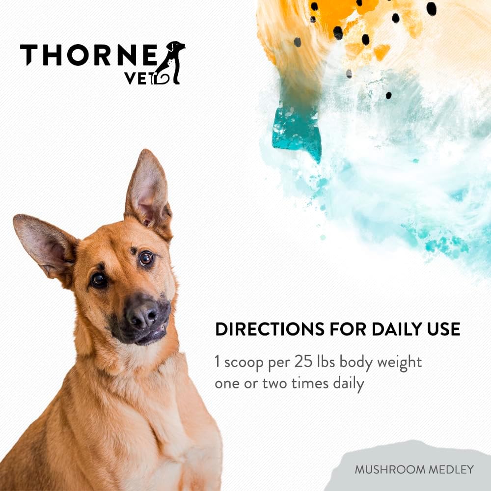 THORNE RESEARCH - ThorneVet Mushroom Medley for Dogs 120 Servicios 60Gr. - The Red Vitamin MX - Suplementos Herbales Para Perros - {{ shop.shopifyCountryName }}