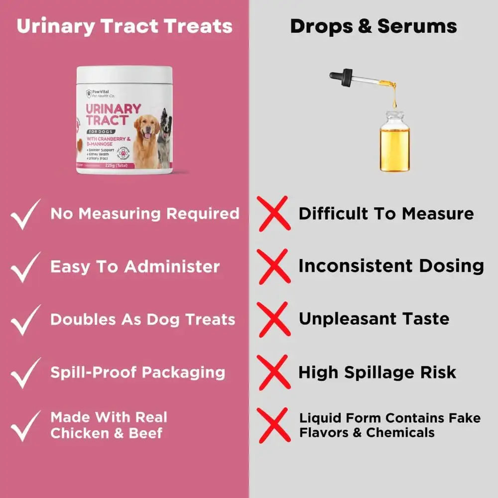 PAWVITAL - PawVital Cranberry Dog UTI Chews with D Mannose 90 Masticables - The Red Vitamin MX - Salud De Tracto Urinario Para Perros - {{ shop.shopifyCountryName }}