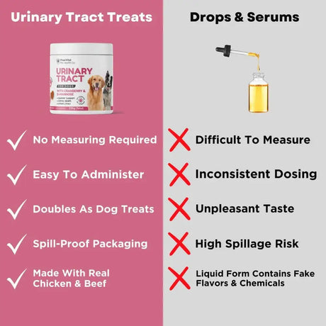 PAWVITAL - PawVital Cranberry Dog UTI Chews with D Mannose 90 Masticables - The Red Vitamin MX - Salud De Tracto Urinario Para Perros - {{ shop.shopifyCountryName }}