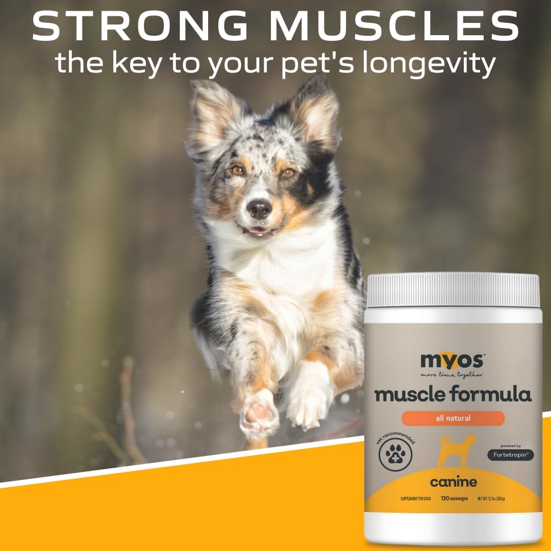 MYOS Canine Muscle Formula All-Natural Muscle Building Supplement 360Gr.