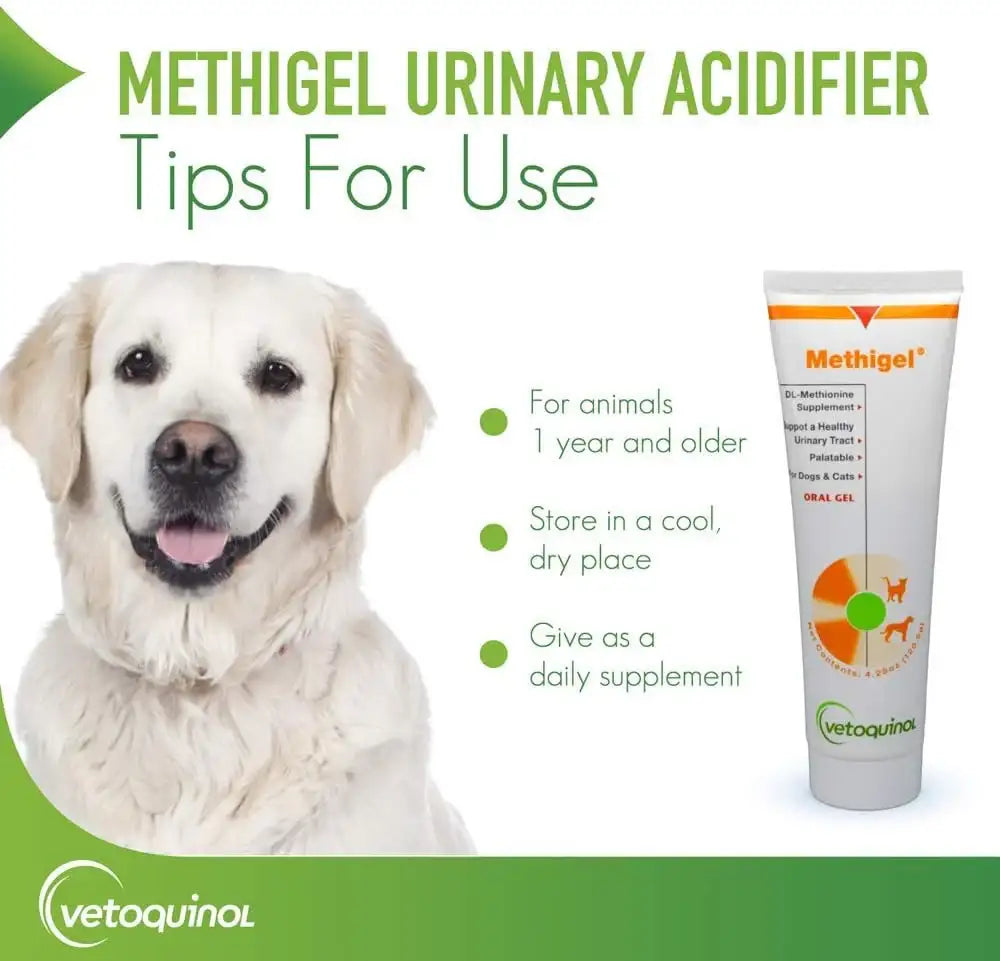 VETOQUINOL - Vetoquinol Methigel Urinary Acidifier to Promote Urinary and Bladder Health for Dogs 120Gr. - The Red Vitamin MX - Salud De Tracto Urinario Para Perros - {{ shop.shopifyCountryName }}
