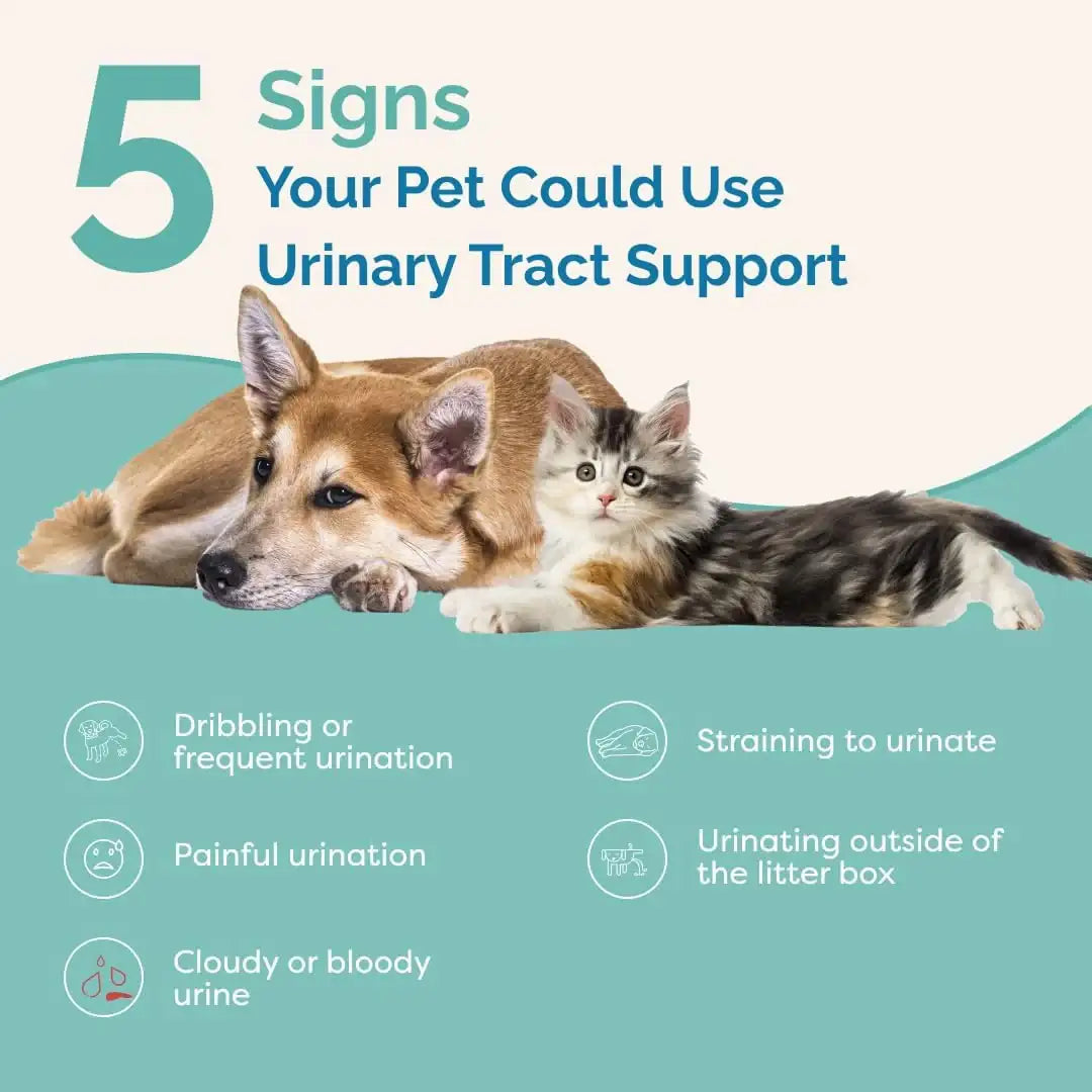 PRANAPETS - PranaPets Urinary Tract Support Liquid Supplement for Pets 2 Fl.Oz. - The Red Vitamin MX - Salud De Tracto Urinario Para Perros - {{ shop.shopifyCountryName }}