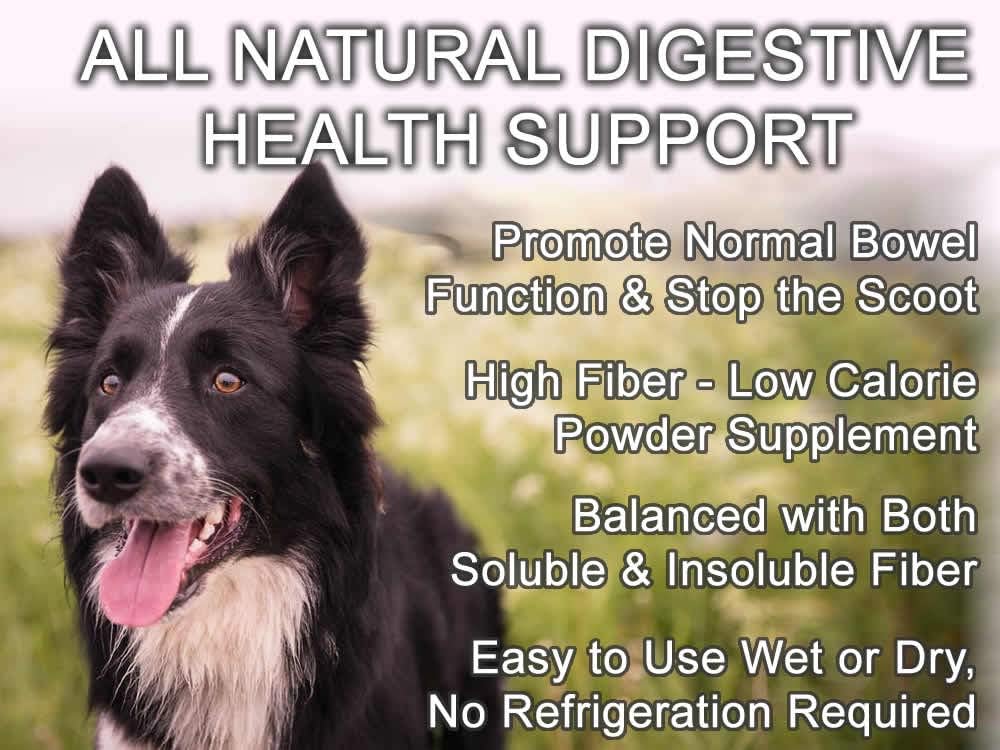 GOOD KARMA NATURALS All Natural Digestion Support Diarrhea Relief & Anal Gland Health for Dogs 8 Oz.