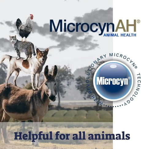 MICROCYNAH - MicrocynAH Anti-Itch Spray Gel with Moisturizing Dimethicone for Dogs 8 Fl.Oz. - The Red Vitamin MX - Remedios Para La Picazón De Perros - {{ shop.shopifyCountryName }}