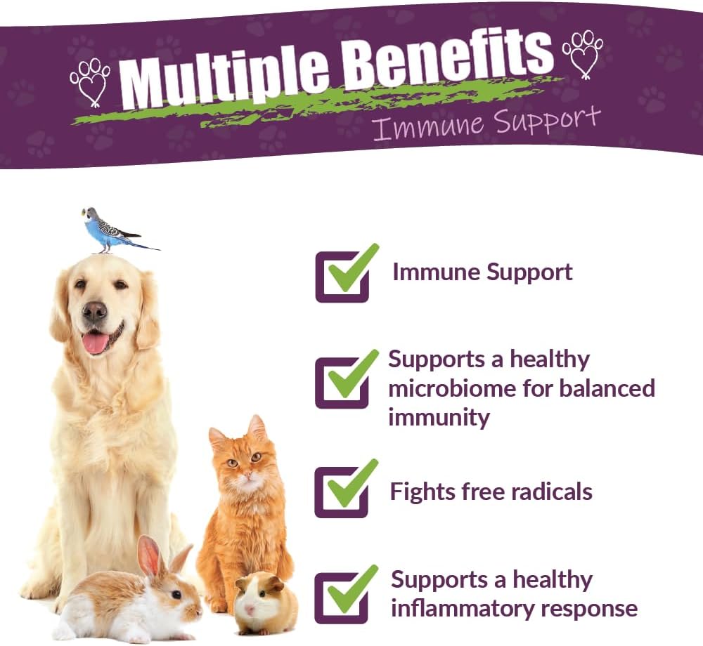 Amber NaturalZ Vibactra Immune Support Herbal Supplement for Dogs 1 Fl.Oz.