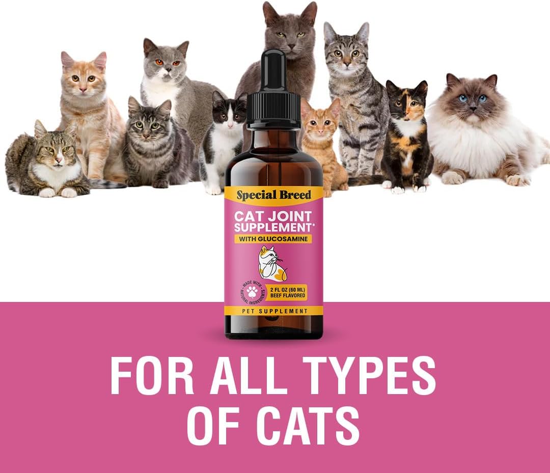 Special Breed Cat Joint Supplement 2 Fl.Oz.