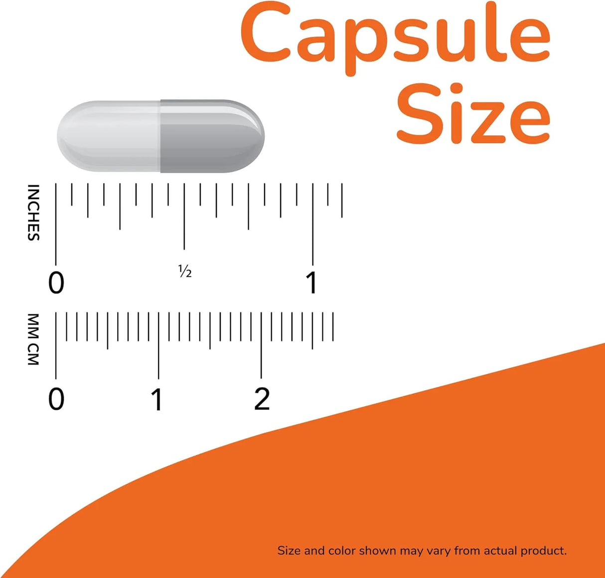 NOW SUPPLEMENTS - NOW Foods Supplements L-Carnosine 500Mg. 50 Capsulas - The Red Vitamin MX - Suplementos Alimenticios - {{ shop.shopifyCountryName }}