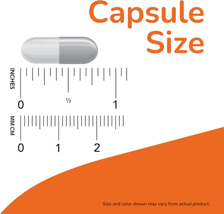 NOW SUPPLEMENTS - NOW Foods Supplements Celadrin & MSM 500Mg. 120 Capsulas - The Red Vitamin MX - Suplementos Alimenticios - {{ shop.shopifyCountryName }}