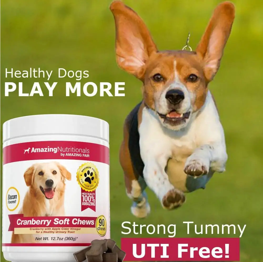AMAZING NUTRITIONALS - Amazing Nutritionals Amazing Cranberry for Dogs 90 Masticables - The Red Vitamin MX - Salud De Tracto Urinario Para Perros - {{ shop.shopifyCountryName }}