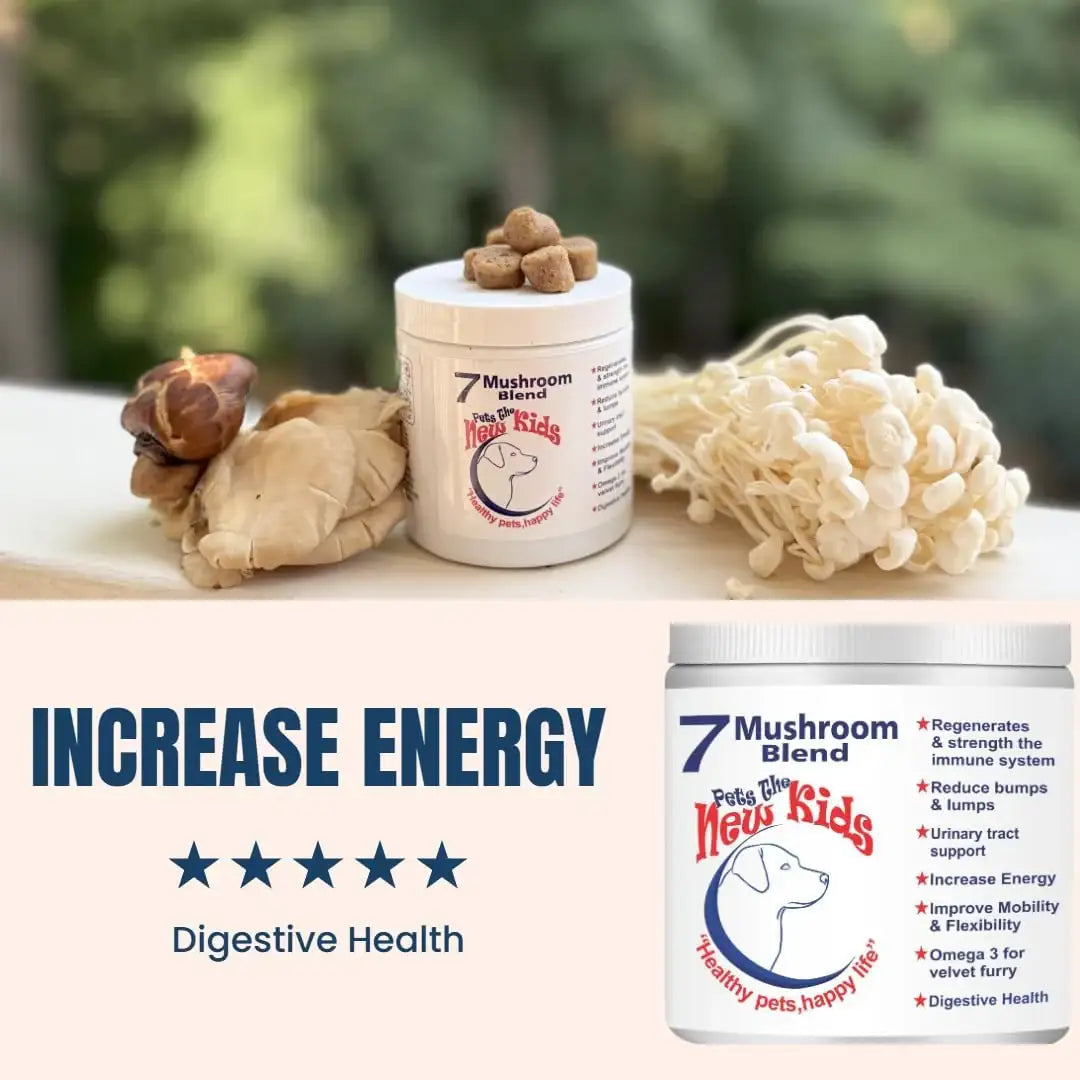 PET'S THE NEW KIDS - Pet's: The New Kids 7 Mushroom Blend Supplement for Dogs 170Gr. - The Red Vitamin MX - Suplementos Herbales Para Perros - {{ shop.shopifyCountryName }}