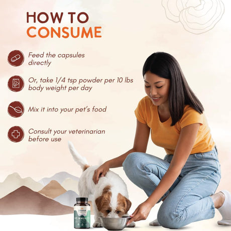 OHANA - Ohana K9 Immunity Organic Mushroom Extracts 90 Capsulas - The Red Vitamin MX - Suplementos Herbales Para Perros - {{ shop.shopifyCountryName }}