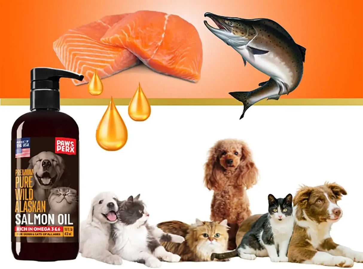 PAWS PERX - Paws PerX Premium-Pure Alaskan Salmon Oil 16 Fl.Oz. - The Red Vitamin MX - Aceite De Pescado Para Perros - {{ shop.shopifyCountryName }}