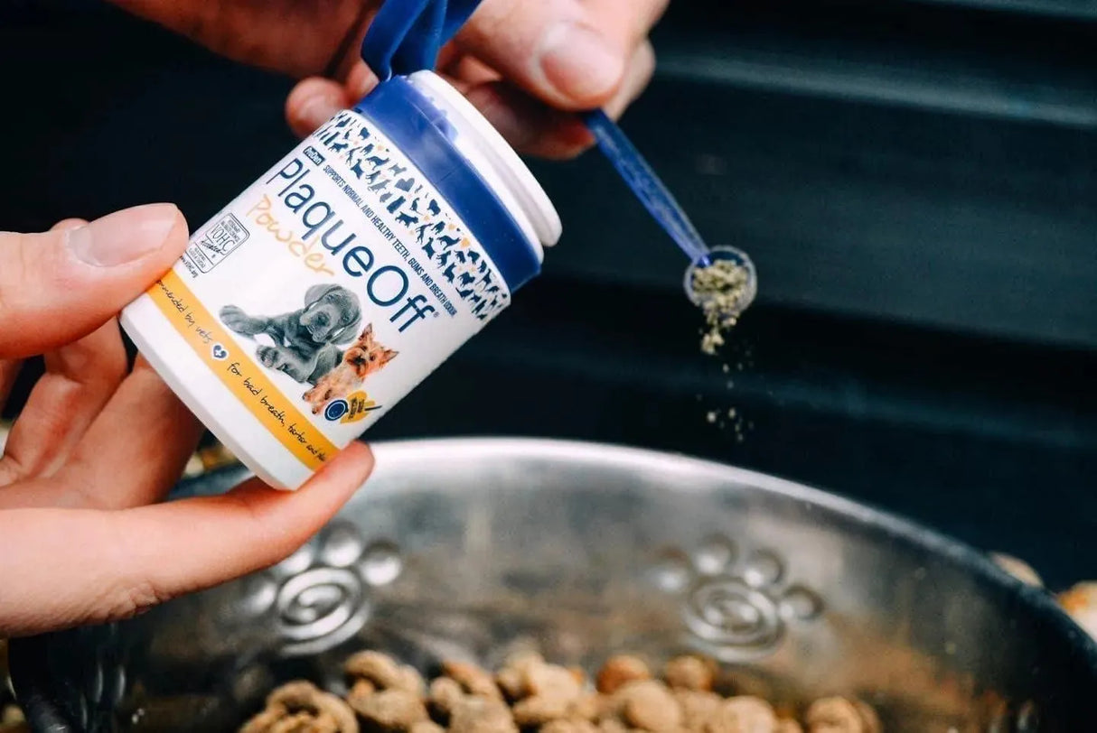 PRODEN - ProDen PlaqueOff Dental Care for Dogs and Cats 60Gr. - The Red Vitamin MX - Cuidado Dental Para Perros - {{ shop.shopifyCountryName }}