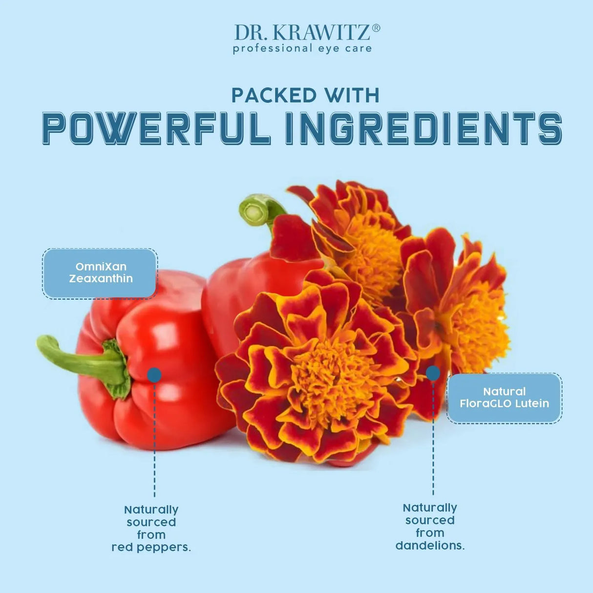 DR. KRAWITZ - Dr. Krawitz Macular Support with Lutein, Zeaxanthin Zinc 60 Capsulas - The Red Vitamin MX - Suplementos Alimenticios - {{ shop.shopifyCountryName }}