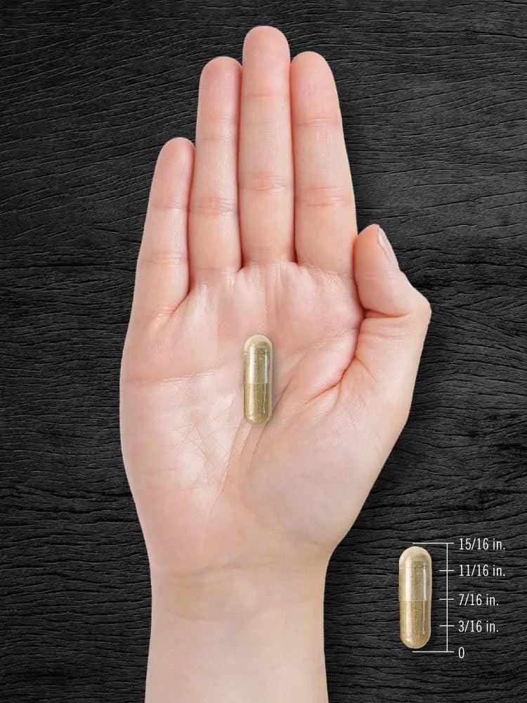 CARLYLE - Carlyle Pygeum Africanum Bark 4000Mg. 200 Capsulas - The Red Vitamin MX - Suplementos Alimenticios - {{ shop.shopifyCountryName }}