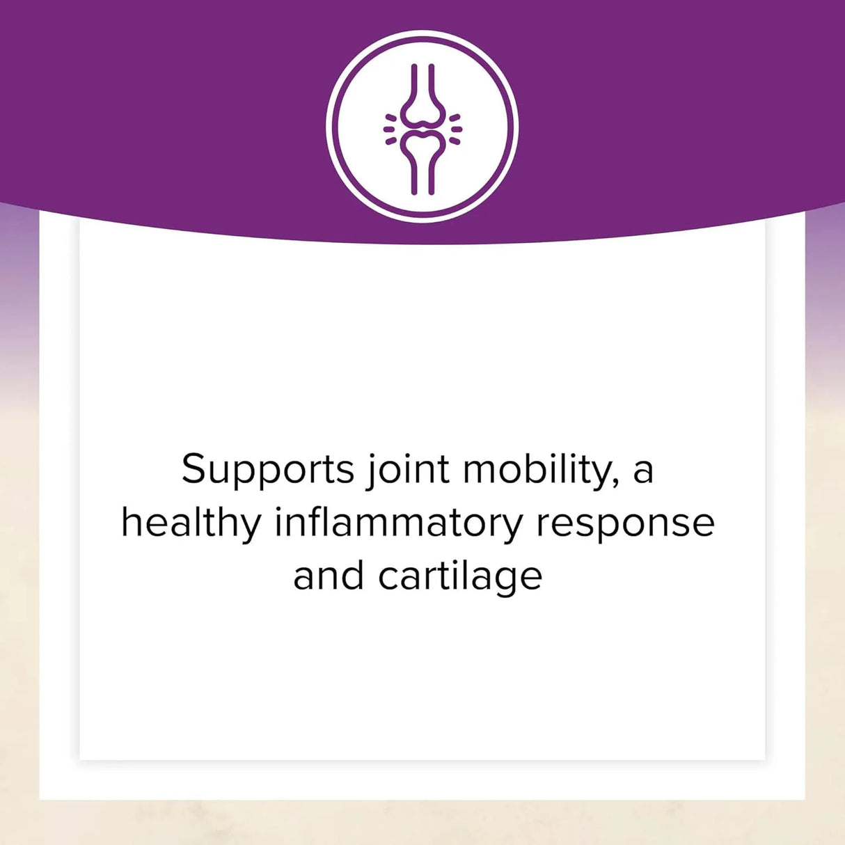 NATURAL FACTORS - Natural Factors OsteoMove 240 Tabletas - The Red Vitamin MX - Suplementos Alimenticios - {{ shop.shopifyCountryName }}