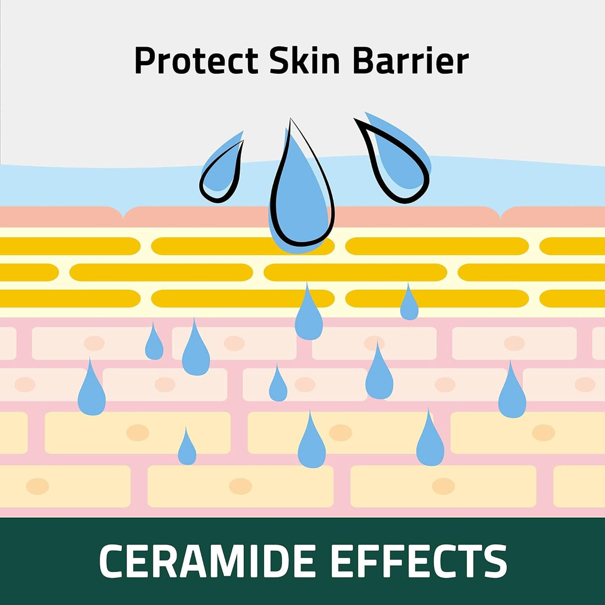 Breezytail PetO'CERA Cat Cream Hair Loss & Itch Relief for Hot Spots Rashes Allergies & Dry Skin 40Ml. 2 Pack