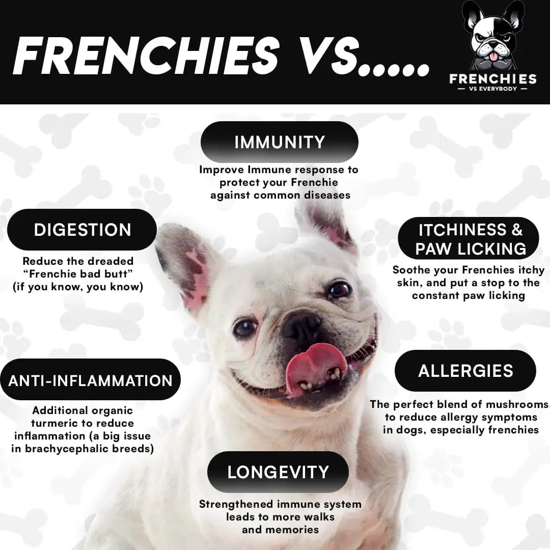 FRENCH VS EVERYBODY - Frenchies vs Everybody French Bulldog Optimized Mushroom Supplement for Dogs 75Gr. - The Red Vitamin MX - Suplementos Herbales Para Perros - {{ shop.shopifyCountryName }}