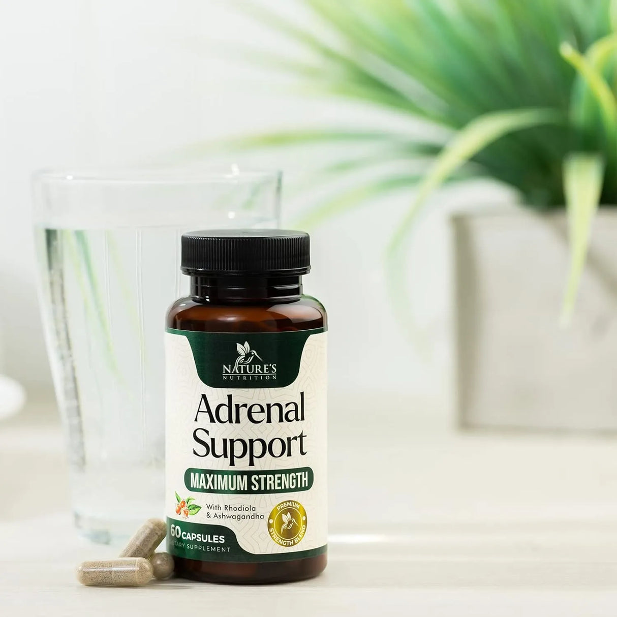 NATURE'S NUTRITION - Nature's Nutrition Adrenal Support 60 Capsulas - The Red Vitamin MX - Suplementos Alimenticios - {{ shop.shopifyCountryName }}