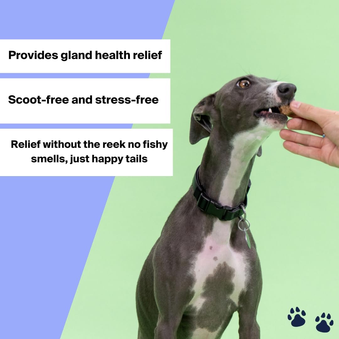 Good Trouble Gland Health Soft Chew Supplements for Dogs 30 Masticables 2 Pack