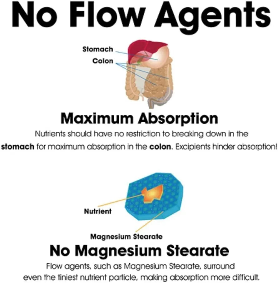 DR. CLARK - Dr Clark Store Fennel Seed 550Mg. 100 Capsulas - The Red Vitamin MX - Suplementos Alimenticios - {{ shop.shopifyCountryName }}