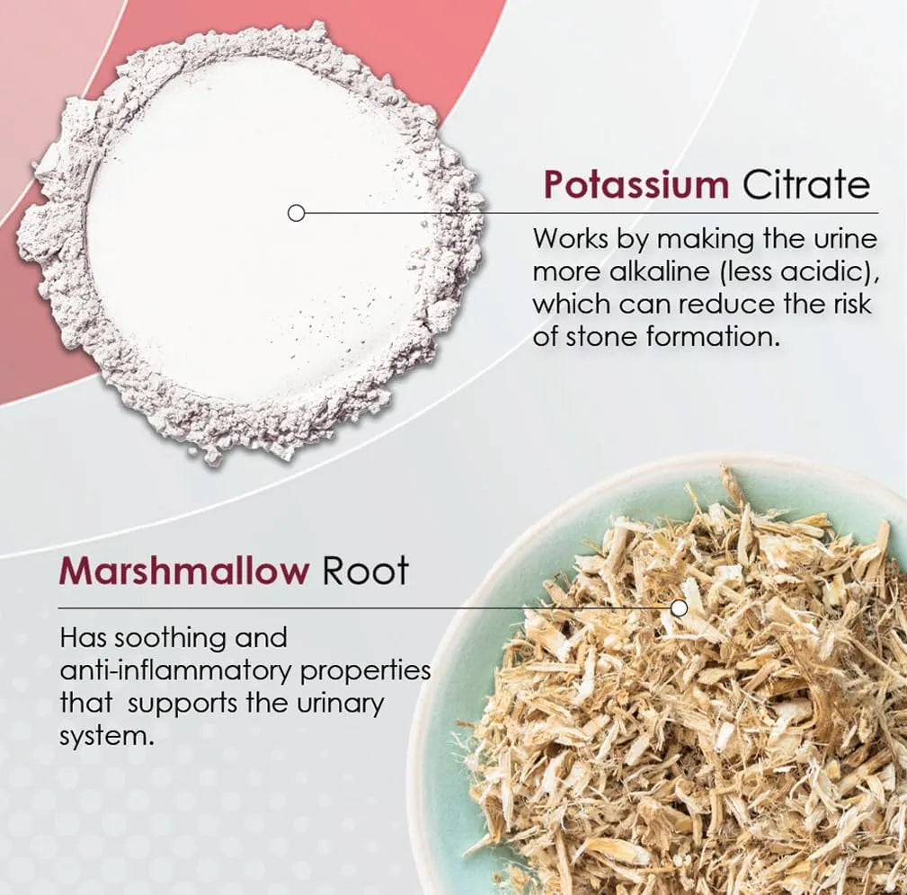 K-PLUS MAX - K-PLUS MAX Urinary Tract Health Soft Chews for Dogs 90 Masticables - The Red Vitamin MX - Salud De Tracto Urinario Para Perros - {{ shop.shopifyCountryName }}