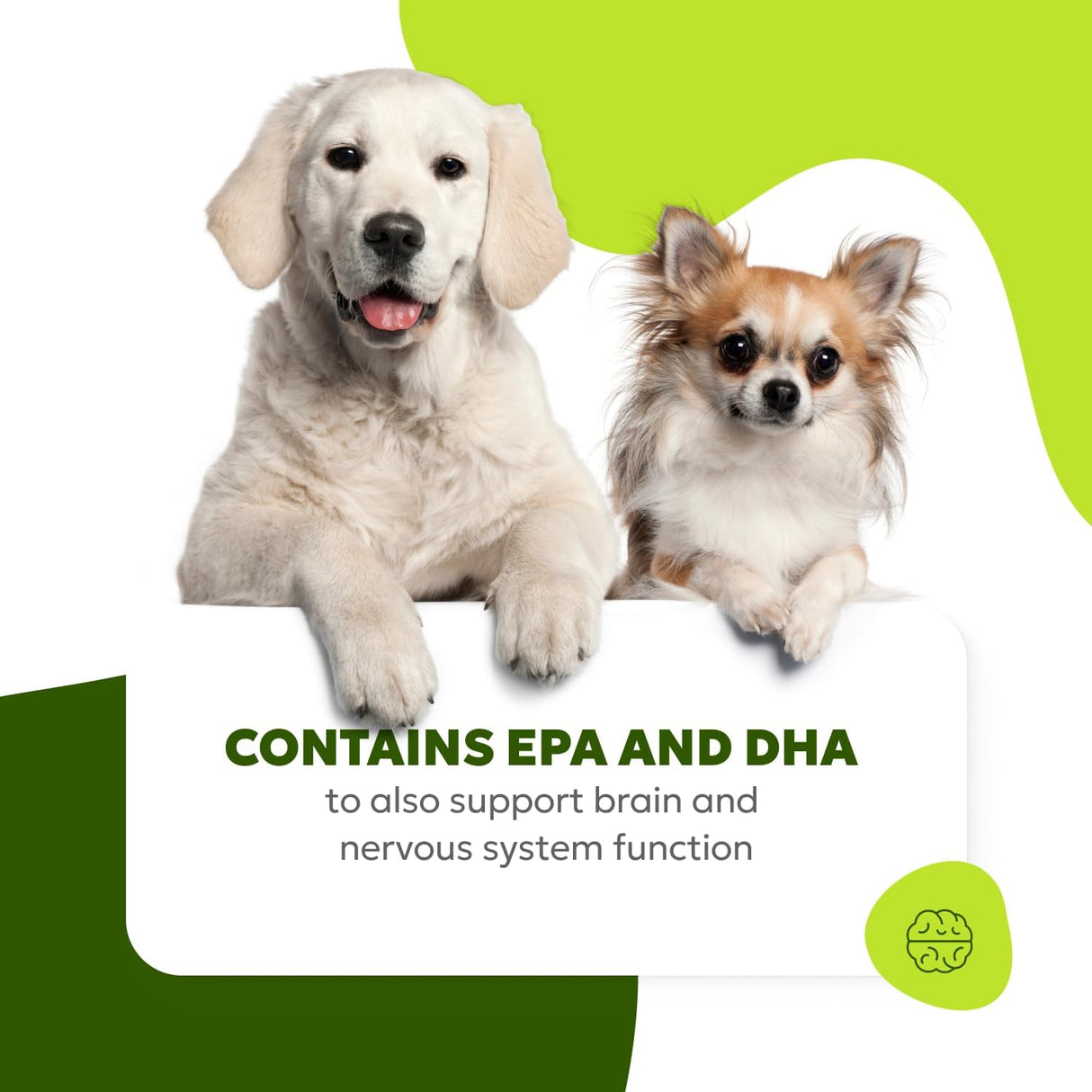 Wholesome Pet Wags Skin & Coat Soft Chews 60 Masticables