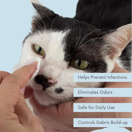 CLEAN PET - Clean Pet Eye & Ear Pet Wipes Original 100 Toallitas - The Red Vitamin MX - Cuidado De Los Ojos De Los Perros - {{ shop.shopifyCountryName }}